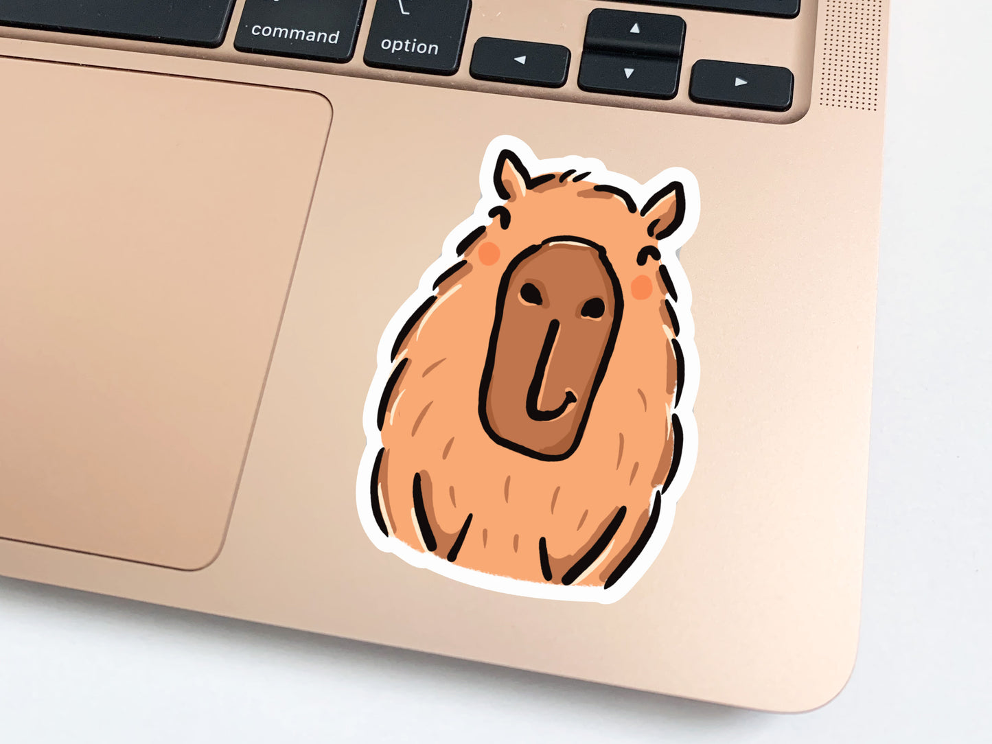 Capybara Vinyl Sticker Set