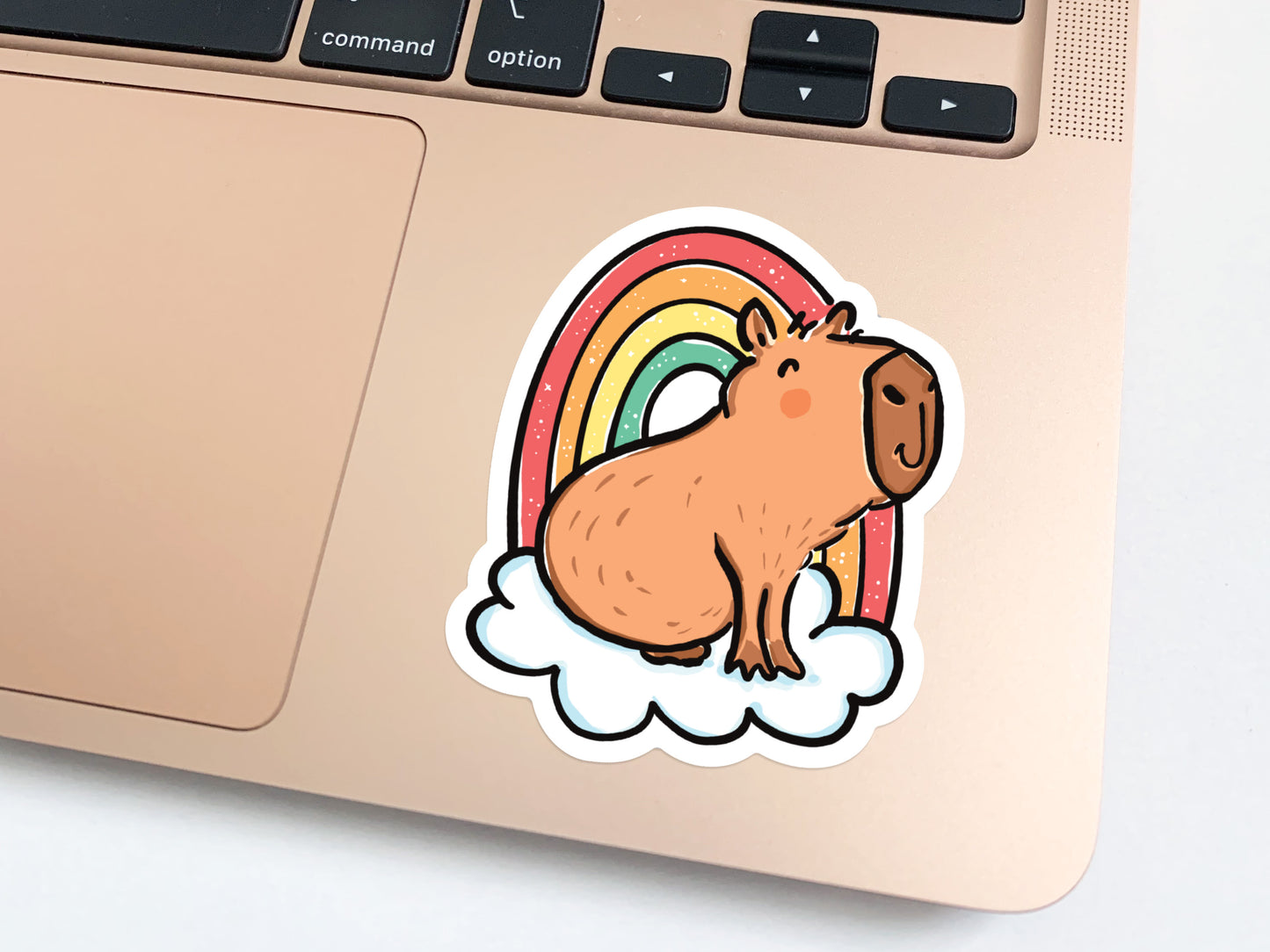 Capybara Rainbow Vinyl Sticker